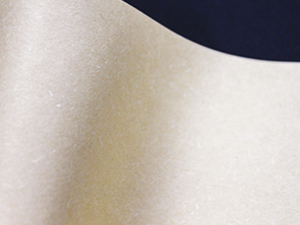 自然素材「クラフト」